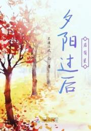 夕阳过后若有星小说阅读
