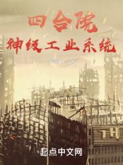 四合院：神级工业系统小说阅读