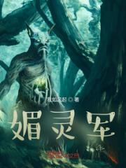 媚灵军小说阅读