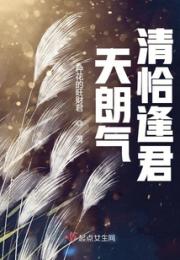 天朗气清恰逢君小说阅读