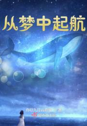 从梦中起航小说阅读