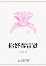 你好秦霄贤小说阅读