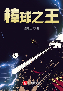 棒球之王小说阅读