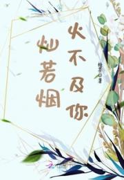 灿若烟火不及你小说阅读