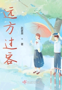 远方过客小说阅读