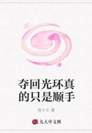 夺回光环真的只是顺手小说阅读