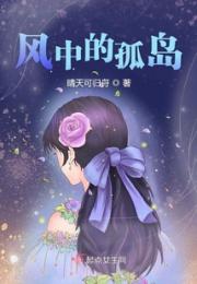 风中的孤岛第一部
