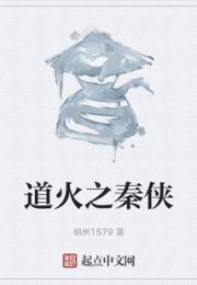 道火之秦侠小说阅读
