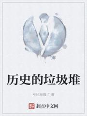 历史的垃圾堆小说阅读