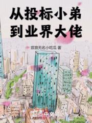 从投标小弟到业界大佬小说阅读