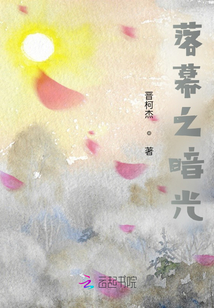 落幕之暗光小说阅读