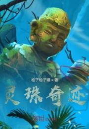 灵珠奇迹小说阅读