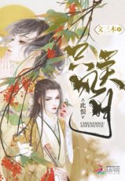 此恨只关风月小说阅读