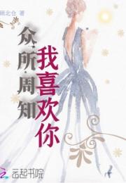 众所周知，我喜欢你