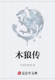 木狼传小说阅读