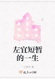 左宜短暂的一生小说阅读