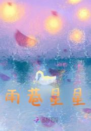 雨巷星星小说阅读