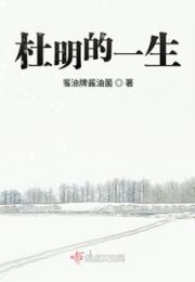 杜明的一生小说阅读