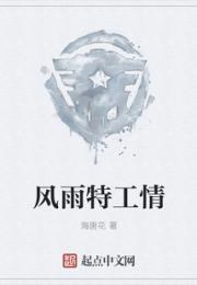 风雨特工情小说阅读