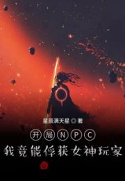 开局NPC：我竟能俘获女神玩家小说阅读