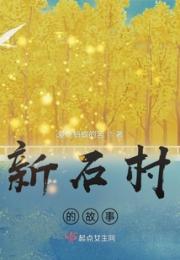 新石村的故事