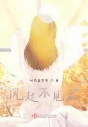 风起不见君小说阅读