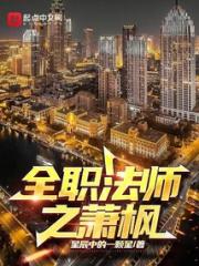 全职法师之萧枫小说阅读