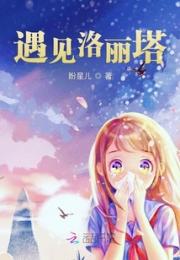 遇见洛丽塔小说阅读