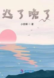 迟了晚了小说阅读