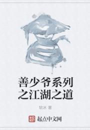 善少爷系列之江湖之道小说阅读
