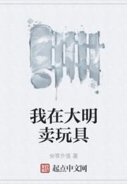 我在大明卖玩具小说阅读