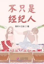 不只是经纪人小说阅读