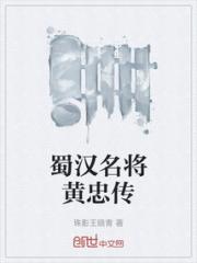 蜀汉名将黄忠传小说阅读