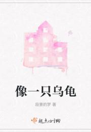 像一只乌龟小说阅读