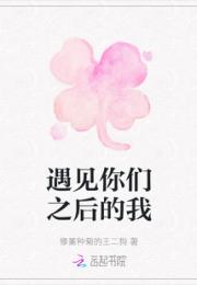 遇见你们之后的我小说阅读