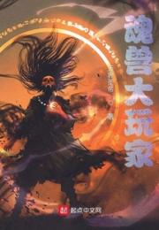 魂兽大玩家小说阅读