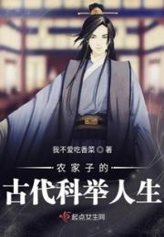 农家子的古代科举人生小说阅读