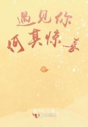 遇见你何其惊喜小说阅读