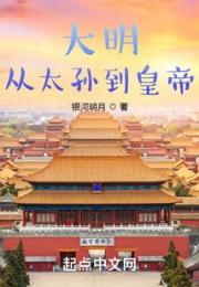 大明：从太孙到皇帝小说阅读
