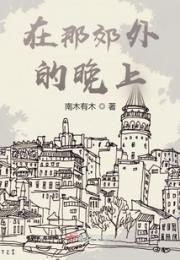 在那郊外的晚上小说阅读