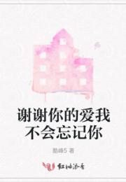 谢谢你的爱我不会忘记你小说阅读