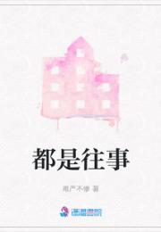 都是往事小说阅读