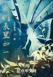 我们表里如一小说阅读