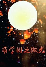 萌学园之微光小说阅读