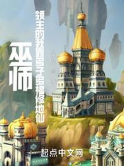 巫师：领主的我靠多子多福修地仙小说阅读