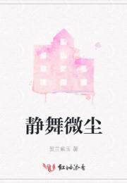 静舞微尘小说阅读