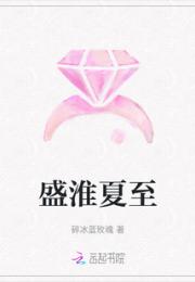 盛淮夏至小说阅读