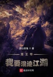 准王爷：我要混迹江湖小说阅读