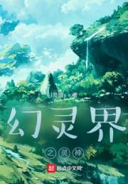 幻灵界之灵神小说阅读