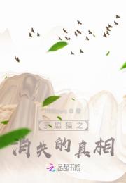 京剧猫之消失的真相小说阅读